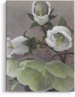 https://www.elisabeth-muehlen.de:443/files/gimgs/th-77_i-22Blumen6-Öl Lw,30x40cm_v2.jpg
